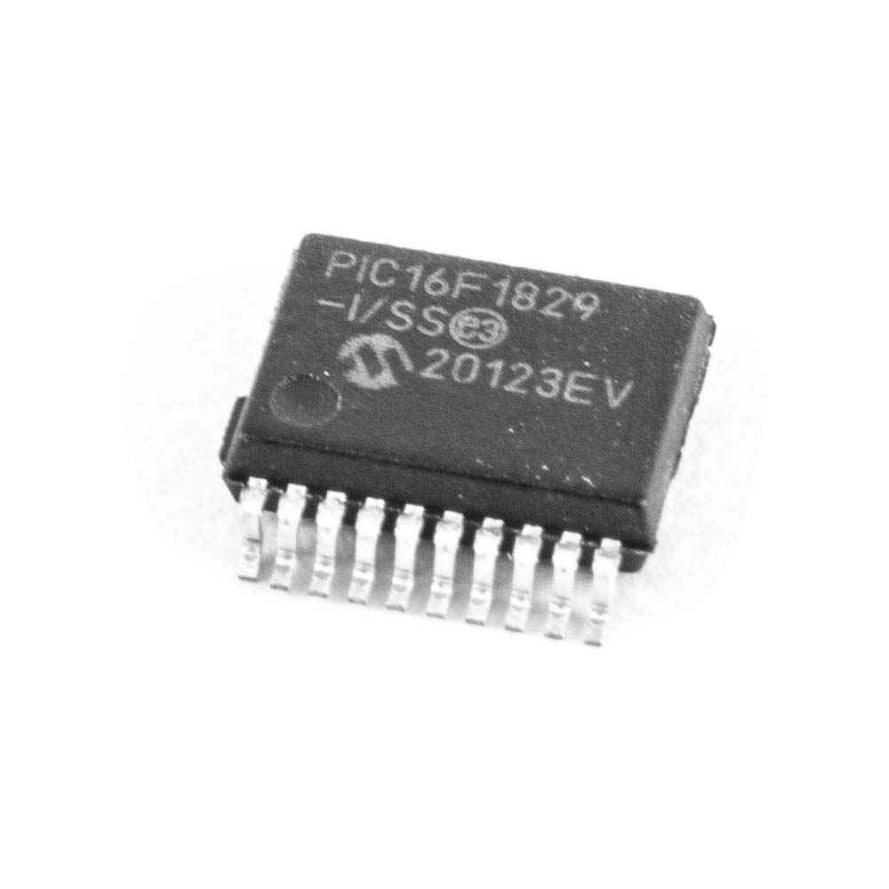 3892-1.jpg